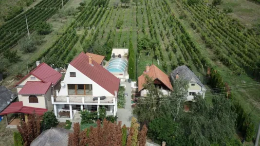 Ház Eladó 99128 Vinica SK