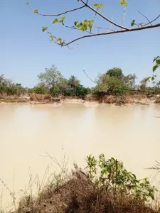 Építési telek Eladó 0000 Brikama Gambia  DE